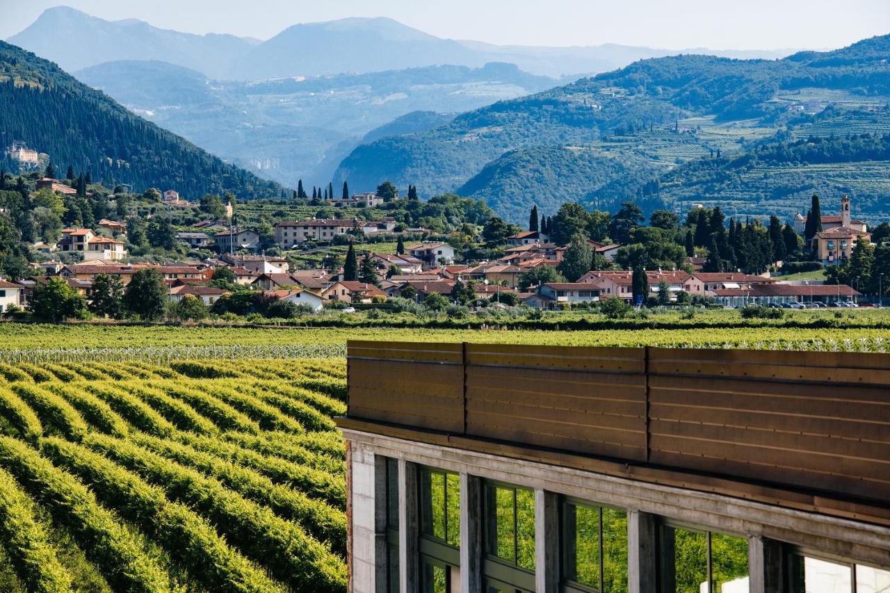 Вилла Dimora Buglioni Wine Relais Сан-Пьетро-ин-Карьяно Экстерьер фото