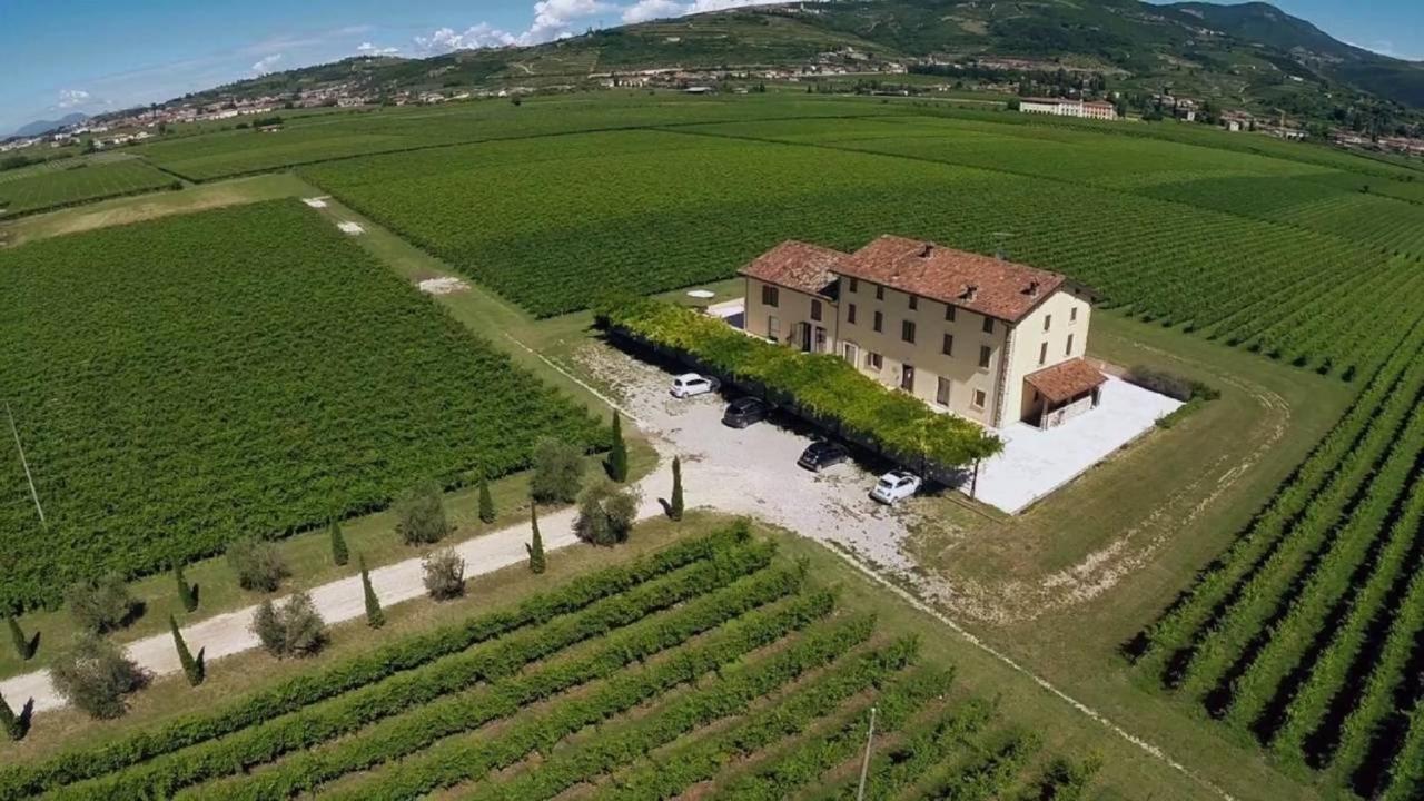 Вилла Dimora Buglioni Wine Relais Сан-Пьетро-ин-Карьяно Экстерьер фото