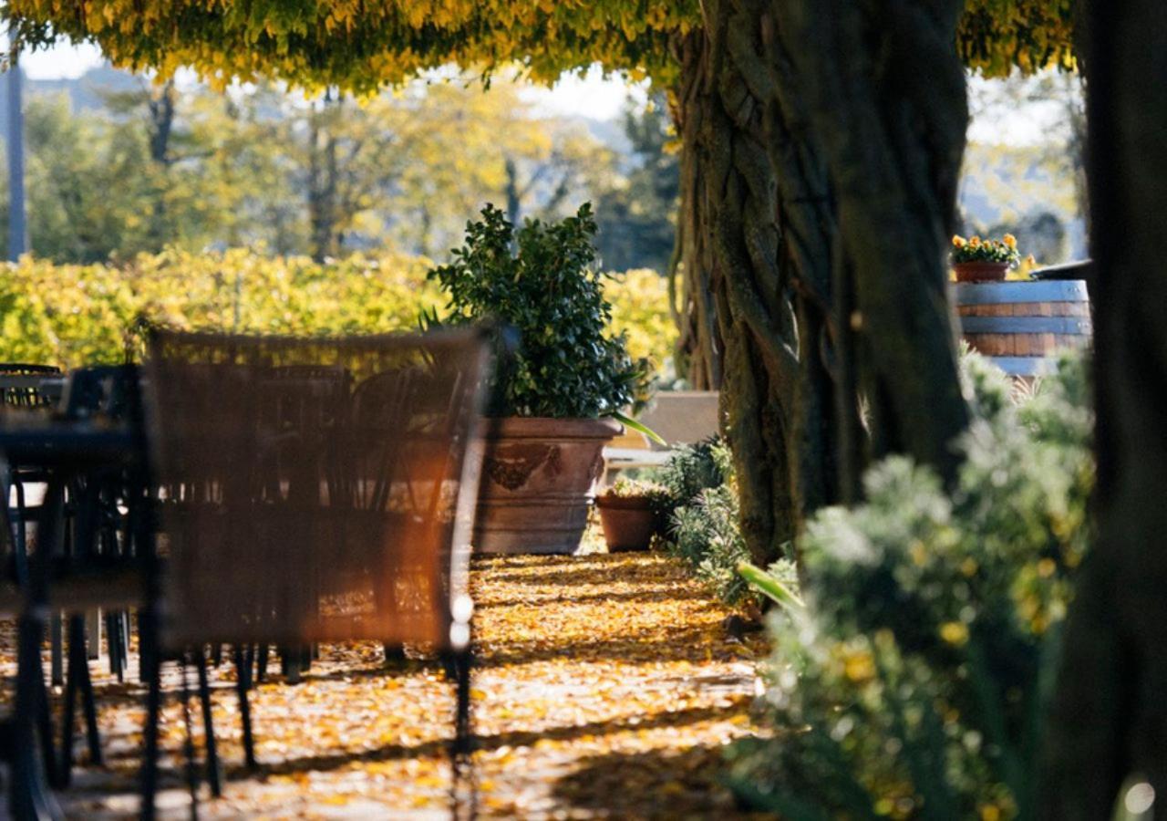 Вилла Dimora Buglioni Wine Relais Сан-Пьетро-ин-Карьяно Экстерьер фото