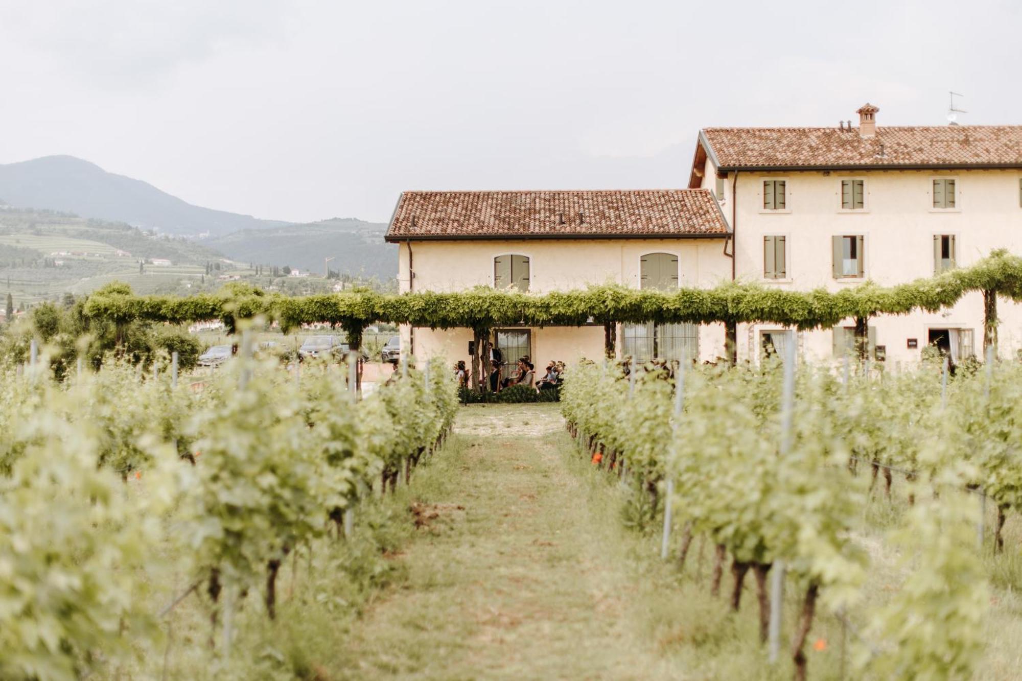Вилла Dimora Buglioni Wine Relais Сан-Пьетро-ин-Карьяно Экстерьер фото